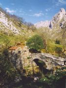 Picos de Europa